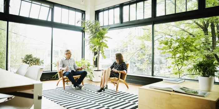 Office Renovation with plants